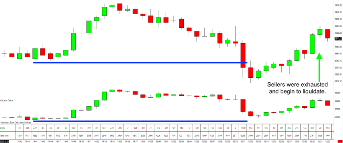 Delta exhaustion example where sellers fail to push price lower
